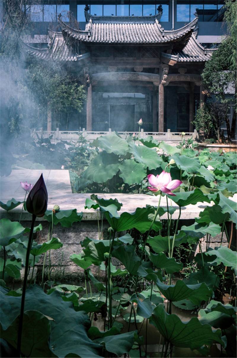 漫戈塔·天榕莊度假村網(wǎng)紅酒店設(shè)計(jì) 大境設(shè)計(jì)專業(yè)酒店設(shè)計(jì)公司